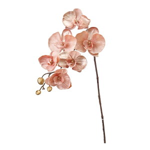 t@mx׃s[` A[eBtBVt[  Ӓ t@m [TDLFJ003716-006] AWg  NX}X  t[f i`AW t[Mtg 