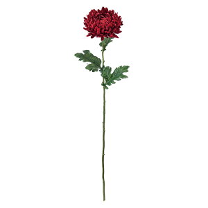 ݂ыe bh A[eBtBVt[  } e[TDLFM002284-003]  t[f i`AW t[Mtg fBXvC AWgp[c aAW