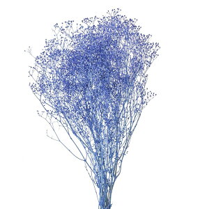 \tg~jJX~ u[x[ vU[uht[ JX~ [TDLFD004551-310] t[f vU[uhH CeAt[ nhChf AWgp[c fBXvC 