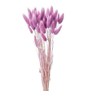 ���O���X�x���[ �X���[�W�[ �h���C�t�����[ �J���[ [TDLFD004583-048] �A�����W�����g���� �C���e���A�t�����[ �h���C���H �n���h���C�h���� �A�����W�����g�p�[�c �f�B�X�v���C �t�����[�M�t�g