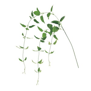 LE\EL O[ A[eBtBVt[  LE\E [TDLFG305150] AWgԍ nhCh CeAO[ TCNf fBXvC