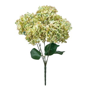 ~nChWAubV O[uE A[eBtBVt[   nChWA [TDLFM003694-025] AWgԍ nhCh t[Mtg CeA