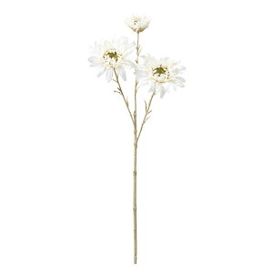 uf[W[Xv[ zCg A[eBtBVt[  f[W[ tlt[ [TDLFM008669] nhCh CeAt[ EFfBOu[P t[f Xv