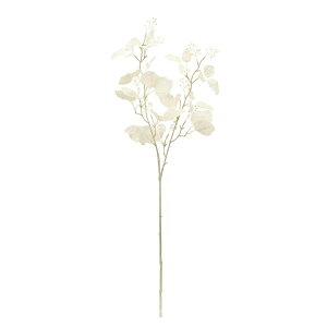 u[JXv[ zCg A[eBtBVt[  [J [TDLFG003016] CeAO[ AWgԍ K[fjOpi Xv[ ԍ fBXvC t[M