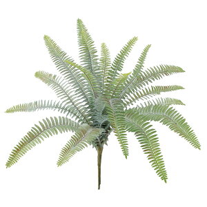 tbNʃV_ubV O[ A[eBtBVt[  V_t@[ [TDLFG001987] CeAO[ ubV CeAt[ fR[V i`AW t