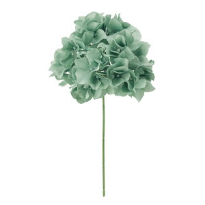 AXnChWAtHXgA[eBtBVt[ԂnChWA[TDLFM025048-224]