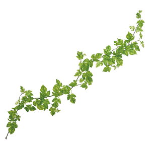 Go[O[vK[h O[ A[eBtBVt[  O[v [t [TDLFG302288] fR[Vf CeAO[ t[f tFCNO[ fBXvC