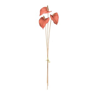 TeBiAXEoh eRb^ A[eBtBVt[  AXE [TDLFM000422-028]  t[f i`AW t[Mtg fBXvC AW