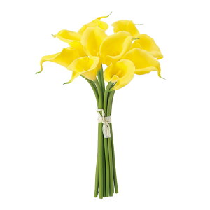 J[[oh CG[ A[eBtBVt[  J[[TDLFM002179-004]  t[f i`AW t[Mtg fBXvC AWgp[c oh