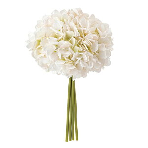 nChWAohx[W^N[A[eBtBVt[ԂnChWA[TDLFM005123-037]