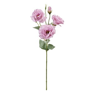 }AVATX CbN A[eBtBVt[  VATX gRLLE[TDLFM002035-050]  t[f i`AW t[Mtg fBXvC AW