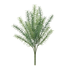 K[f[Y}[ubV O[ A[eBtBVt[  n[u [TDLFG006001] CeAO[ AWgp[c i`AW t[Mtg fBXvC 