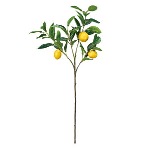 u` O[ A[eBtBVt[   ʕ  p x[iʎj[TDLFG000903] CeAO[ AWgp[c  t[f ubVn