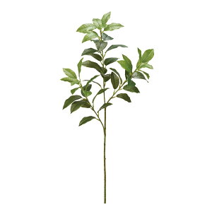 VLr O[ A[eBtBVt[   VL~t[l [TDLFG000210] t[ CeAO[ AWgp[c i`AW t[Mtg 