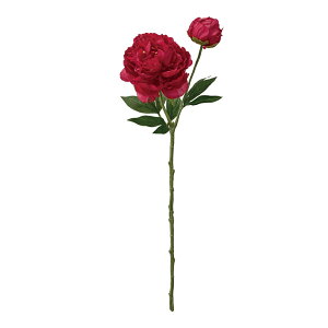 v^sIj[ bh A[eBtBVt[  sIj[ O[TDLFM001774-003] aAW  t[f i`AW t[Mtg fBXvC AW