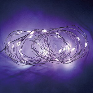 C~iLED p[v LEDd t[ [TDLGI000301-017] fR[Vf Cxgpi LEDCg  fBXvC Ɩ C~l[V IuWF