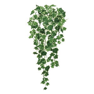 GNXeAACr[oC N[O[ A[eBtBVt[  ACr[ [TDLFG008272-023] CeAO[ oC t[f i`AW t[Mtg fB