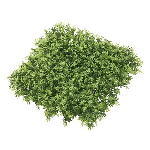 ~j{bNXEbh}bg O[ A[eBtBVt[  x[X i O[}bgV[g [TDLFG003002] CeAO[ AWgԍ K[fjOpi O[