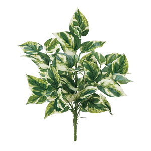 tB[|gXubV N[O[ A[eBtBVt[  |gX [TDLFG000291] t[ CeAO[ AWgp[c i`AW t[Mt