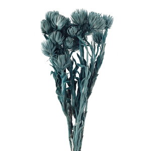 Vo[f[W[ ~j ^[RCY hCt[ J[ [TDLFD004441-240] t[f hCH CeAt[ nhChf AWgp[c fBXvC t[Mt