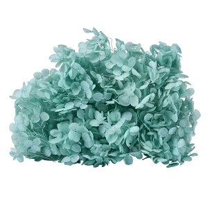 \tg Aix yp[~g vU[uht[ 2֓ AWTC [TDLFD004730-235] AWg vU[uhH VRf CeAt[ nhCh t[