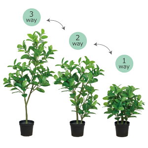 SmL|bg 3WAYCeAO[ [TDLFG000778] |bg t[f CeAt[ nhCh i`AW t[Mtg fBXvC