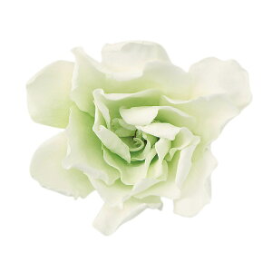 N`iV ptF zCgO[ vU[uht[ 6֓ [TDLDO001063-703] vU[uhH VRf CeAt[ t[f zCgR[fBl[g