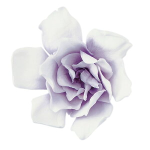 N`iV ptF zCgp[v vU[uht[ 6֓ [TDLDO001063-403] vU[uhH VRf CeAt[ t[f zCgR[fBl[g