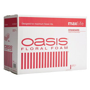 IAVXt[tH[ X^_[h Ԕ maxlife ԃtH[ 1P[X t[[TDLSJ020000] O[ AWgԍ nhCh fR[Vf x[X fBXv