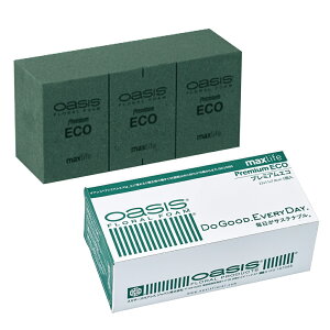 IAVXt[tH[ v~AGR 1 maxlife ԃtH[ t[[TDLSJ000405] O[ AWgԍ nhCh fR[Vf x[X fBXvC t