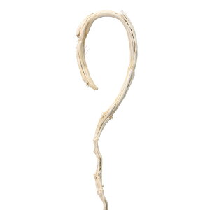 oiiXeBbNTV1hCt[}̃TV[TDLDE010346] t[Mtg nhCh fB XvC i`AW IuWF A[eBtBVt[ Cxgp 