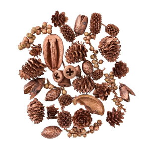 ~jR[A\[guY1܃hCt[̃J[[TDLDE010619] t[Mtg nhCh fB XvC i`AW IuWF A[eBtBVt[ Cxg