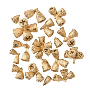 RjJKS[h1܃hCt[̃J[[TDLDE010641] t[Mtg nhCh fB XvC i`AW IuWF A[eBtBVt[ Cxgp C