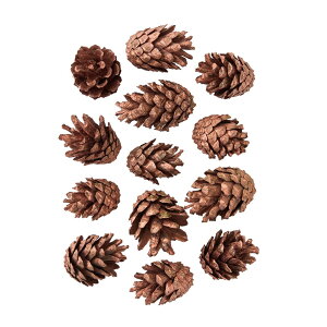 pCEV׃Xg[uY1܃hCt[̃J[[TDLDE010689]t[Mtg nhCh fB XvC i`AW IuWF A[eBtBVt[ Cx