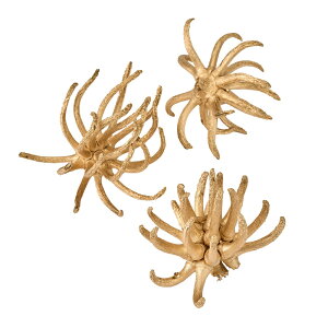 XpC_[KENES[h3RhCt[̃J[[TDLDE010761] t[Mtg nhCh fB XvC fR[Vf i`AW IuWF  Cx