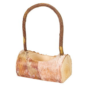 MԊx[Xi`fޖؐi`x[X[TDLKFSV111M] t[Mtg nhCh fB XvC K[fjOpi IuWF  i`AW CeA