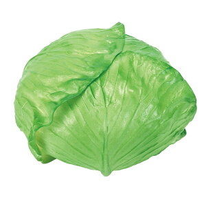 LxcO[A[eBtBVt[ԃtFCNt[h[TDLFV0T0277-024] HiTv EIuWFEuECeAEfBXvC |E^ O[