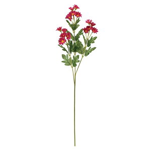 Ver[eBA[eBtBVt[ԃ}e[TDLFMV22140-016] t[Mtg nhCh K[fjOpi fB XvC i`AW CeAt[