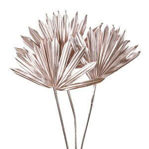 TXyA~jv`isNhCt[i`fރJ[[TDLDT074462] t[Mtg nhCh fB XvC K[fjOpi IuWF  I[ig CeA