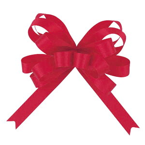 [v{EJX^Te13mm#161BOX(50R)ރ^b`{E{[TDLRA006896-016]  t[Mtg nhCh fB XvC Cxgpi IuWF  I[ig bs