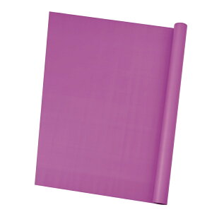 }bgJ[Y#4831{bsOy[p[htB[TDLRA008676-483]  t[Mtg nhCh fB XvC Cxgpi IuWF  I[ig AW