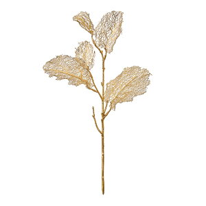 [XO[v[tVpA[eBtBVt[ԃ[t[TDLFX001072] t[Mtg nhCh fB XvC K[fjOpi IuWF  i`AW X