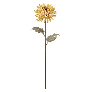 }eB[N}}X^[hA[eBtBVt[ԃ}e[TDLFM302206-021] t[Mtg nhCh K[fjOpi fB XvC i`AW CeAt