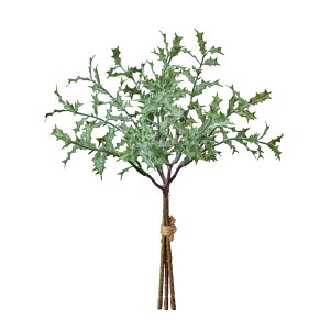 pE_[z[sbNO[1A[eBtBVt[ԃqCMz[[TDLFX006060] t[Mtg nhCh fB XvC K[fjOpi IuWF  i`A