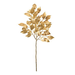 re[Wt@CJX[t}bgS[hA[eBtBVt[ԃt@CJX[TDLFX002906-018] t[Mtg nhCh fB XvC K[fjOpi IuWF  i`