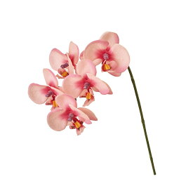 リアンファレノオーキッド／ピンクアーティフィシャルフラワー造花オーキッド蘭[TDLFM008803-102] フラワーギフト ハンドメイド資材 ガーデニング用品 ディ スプレイ ナチュラルアレンジ インテリアフラワー