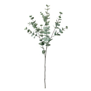 [JO[Z[WO[A[eBtBVt[ԃ[J[TDLFG007219-022] t[Mtg nhCh fB XvC K[fjOpi IuWF  i`A