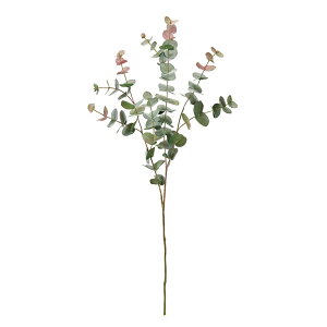 [JO[O[^o[KfBA[eBtBVt[ԃ[J[TDLFG007219-025] t[Mtg nhCh fB XvC K[fjOpi IuWF  i`