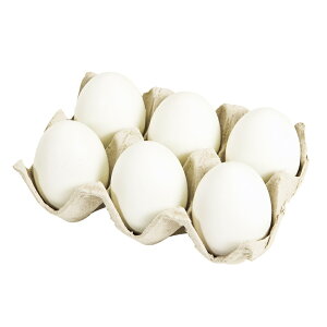 ʎqpbNzCg1pbNA[eBtBVt[ԃtFCNt[h܂[TDLFO008400-001] HiTv EIuWFEuECeAEfBXvC AX`[ zCg