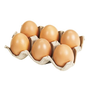 ʎqpbNuE1pbNA[eBtBVt[ԃtFCNt[h܂[TDLFO008400-008] HiTv EIuWFEuECeAEfBXvC AX`[ uE